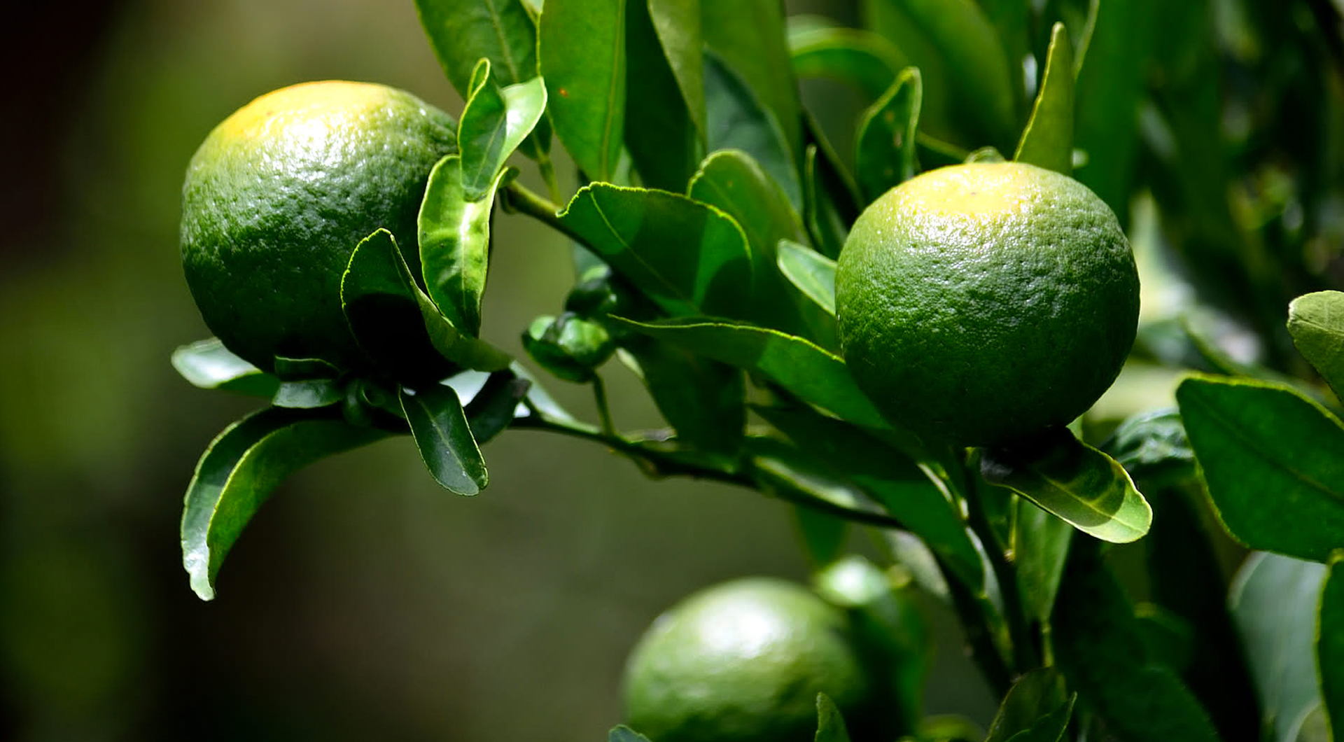 bevictorΰ�� - ΰ��bv���������ٷ���վ