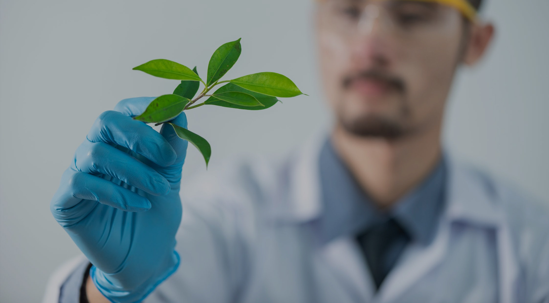 bevictorΰ�� - ΰ��bv���������ٷ���վ