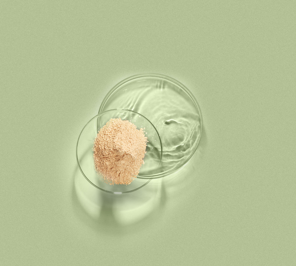 bevictorΰ�� - ΰ��bv���������ٷ���վ