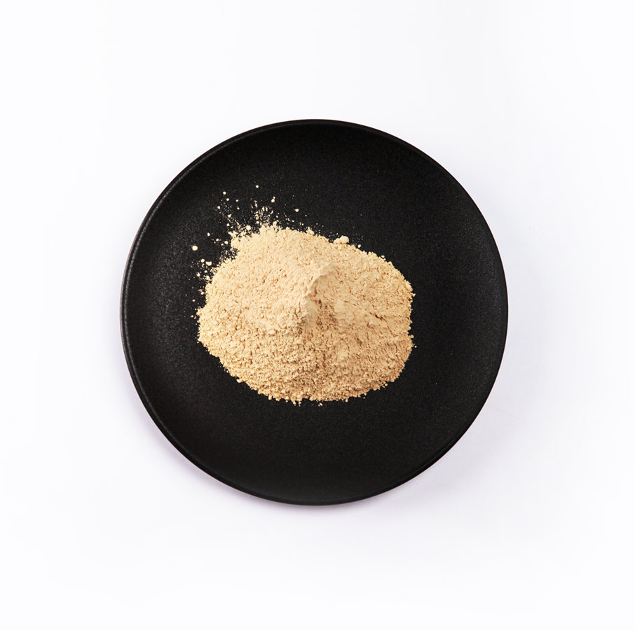 bevictorΰ�� - ΰ��bv���������ٷ���վ