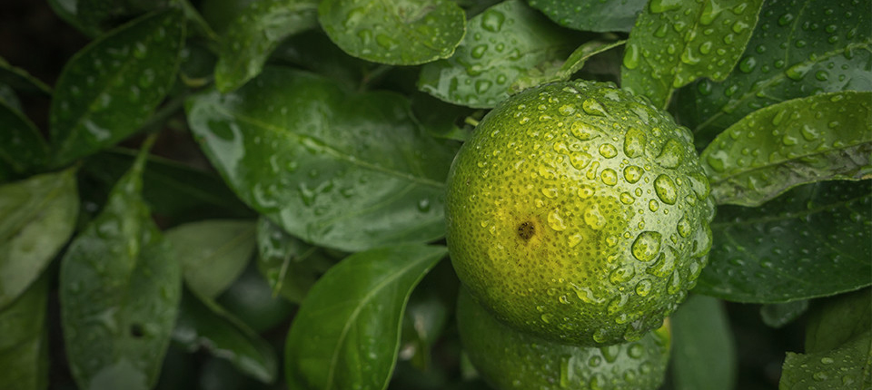 bevictorΰ�� - ΰ��bv���������ٷ���վ